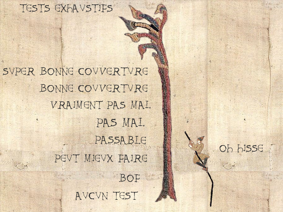 Un testeur tentant vainement d'atteindre les cimes de l'exhaustivité.